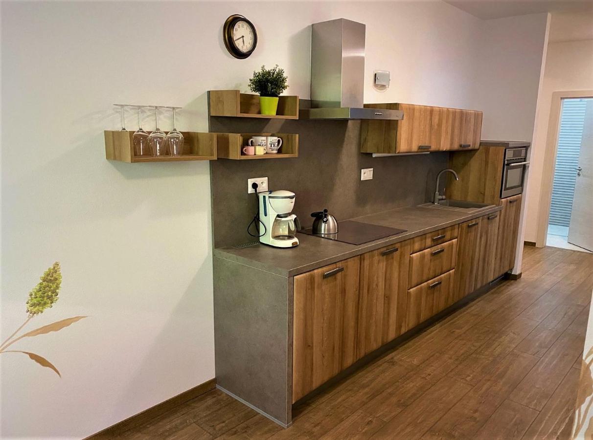 Chopok Juh - Ambiente Apartment Tale Buitenkant foto